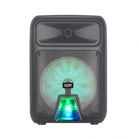 OEM NDR-P28 8 Inch 300W USB/SD/FM And Bluetooth Home Party Speaker BLACK